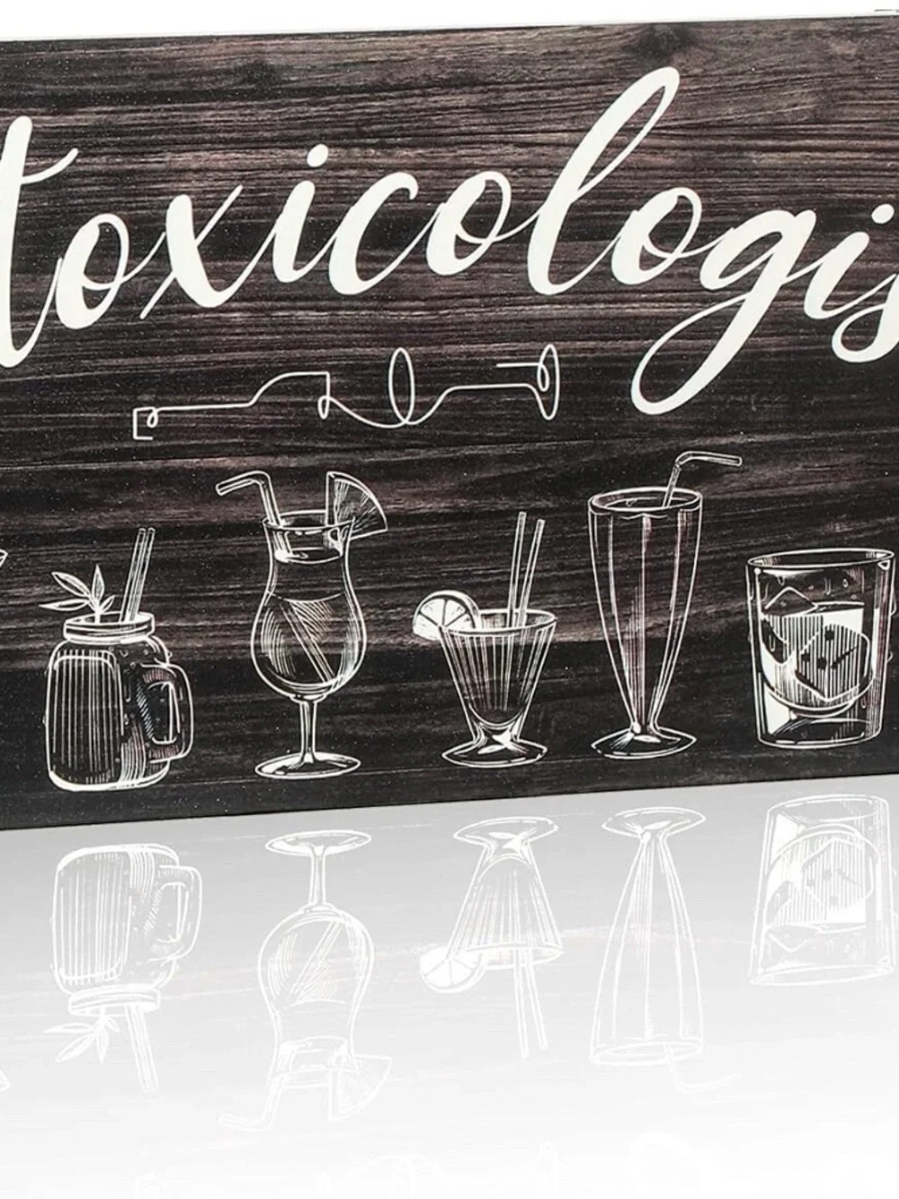 Retro Intoxicologist Wooden Plaque Sign Bar Decor (11.8